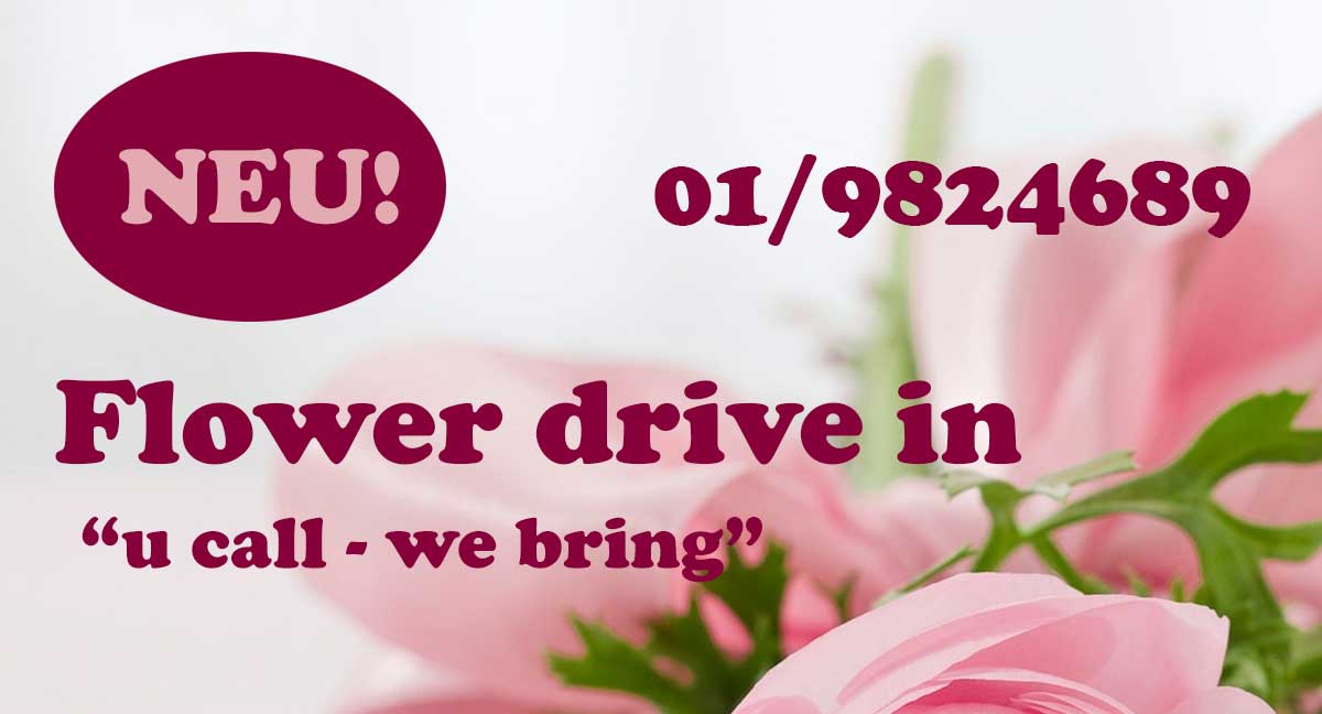 flower-drive-in